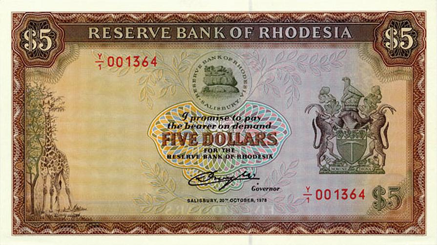 Rhodesian Ridgeback X Staffy